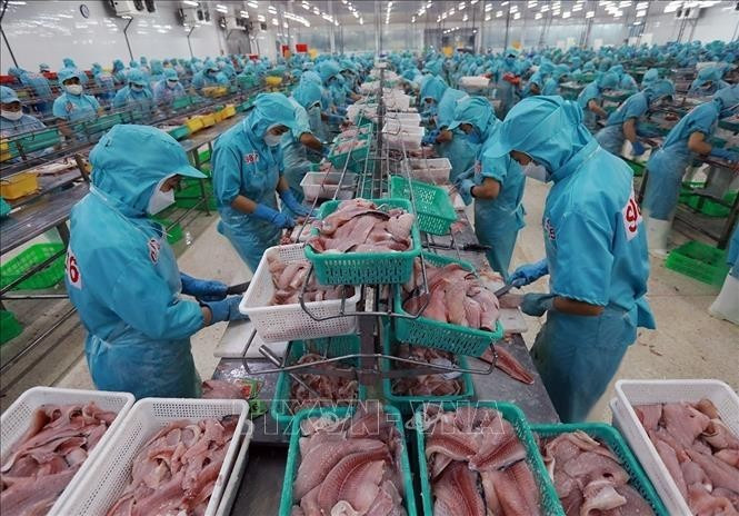  수출용 수산물을 가공하는 노동자들. (사진: VNA)