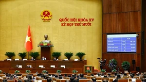 범죄인 인도법안은 작년 11월 26일 국회에서 통과됐다, (사진: VNA)