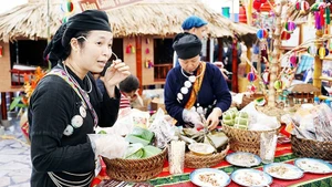 소비자들에게 자사 제품을 소개하기 위해 라이브 방송을 하는 농업협동조합. 사진: 응우옛 안