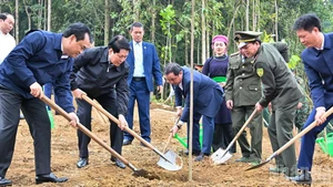 [포토] 국가주석, 라오까이성 나무심기 축제 개막식 참석