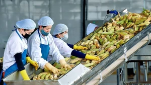 올해 첫 두 달간의 농림수산물 수출이 113억 달러를 기록해 전년 동기 대비 17.1% 증가했다.