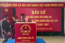 카인호아성 쯔엉사 특별구 다레 투표소에서 투표를 하는 선원들. (사진: VNA)