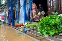 주도적인 대책이 마련된 덕분에 주민들은 침수 상황에서도 침착함을 유지하며 이에 적응해 살아가고 있다.
