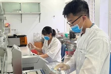 작물연구소의 과학 연구 활동