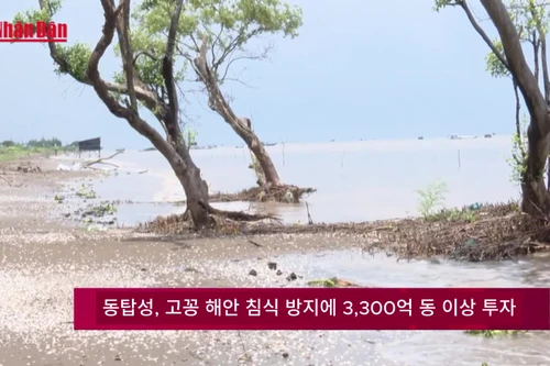 동탑성, 고꽁해안 침식 방지에 3300억 동 이상 투자