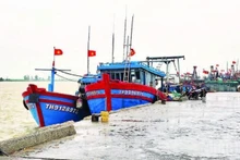 불법·비보고·비규제 어업 ‘옐로카드’ 해제 총력전 