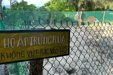 베트남에서 바다거북 보전 프로그램이 가장 활발하게 이루어지는 주요 지역 중 하나인 꼰다오. (사진: DINH NAM)