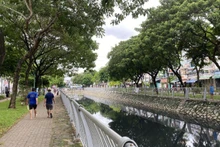 심하게 오염된 항방 운하. 현재 시 당국은 이 운하를 준설 및 정비하는 작업을 벌이고 있다. (사진: 꾸이 히엔)