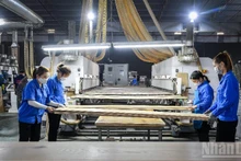 베트남 기업들이 글로벌 시장에 진출하기 위해서는 종합적인 생태계의 지원이 시급히 필요하다. (사진: THANH DAT)