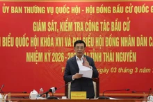 감독 및 점검 회의에서 발언하는 판 반 장 장관. (사진: 투안 손)