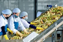 올해 첫 두 달간의 농림수산물 수출이 113억 달러를 기록해 전년 동기 대비 17.1% 증가했다.