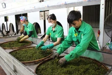 국내 시장, 베트남 상품의 도약을 위한 '발판' 역할