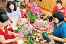 새해를 맞아 생산을 확대하는 흐엉투이 연꽃차 협동조합, 