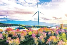 럼동성의 풍력 발전 프로젝트 .