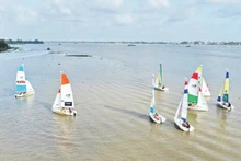 하우강에서 열린 요트 경주. (사진: 탄 탐)