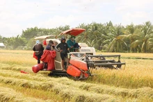 쩌우탄 지역에 위치한 팟타이 농업 협동조합은 생산 비용 절감을 위해 콤바인 수확기를 활용하고 있다.