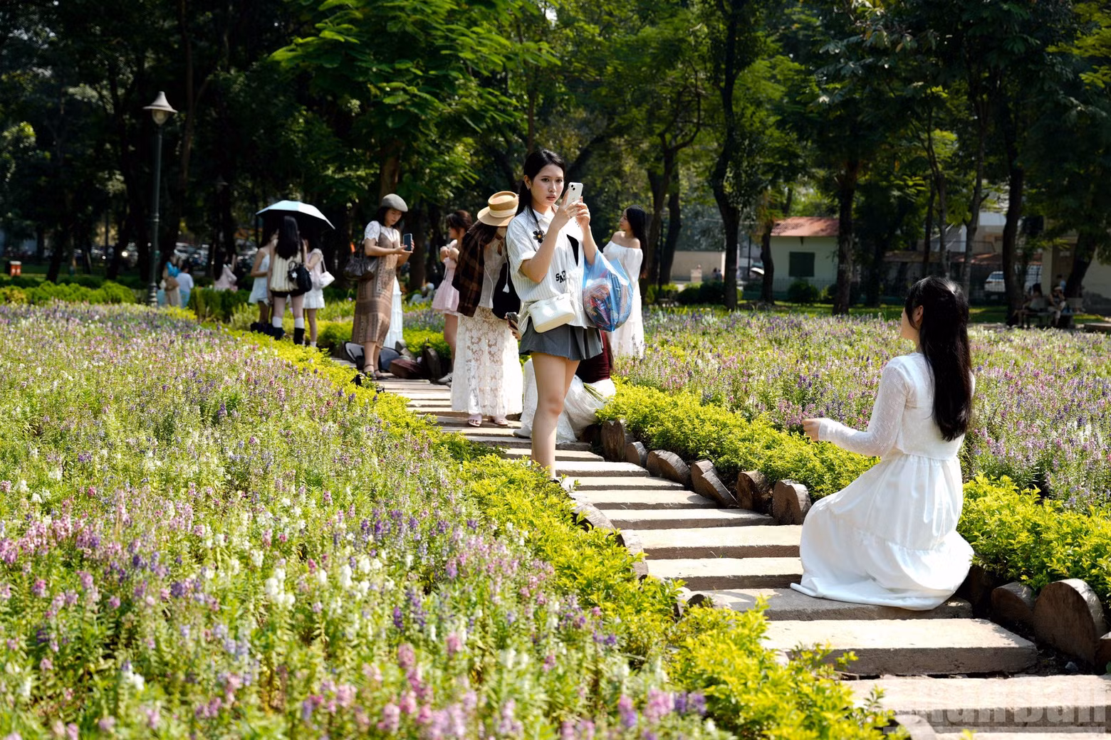호안끼엠 호수에서 약 3km 떨어진 하이바쯩 동의 통녓 공원에도 풍성한 꽃밭을 보기 위해 많은 시민들이 찾고 있다. 많은 사람들이 틱톡에서 확산된 영상을 통해 이곳을 알게 되면서 사진 촬영을 위해 몰려들고 있다.