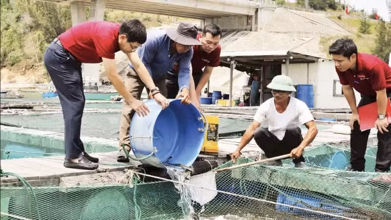 은행 대출로 회생에 성공한 쩐반레(흰색 셔츠)씨. (사진: 홍 안)