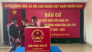 카인호아성 쯔엉사 특별구 다레 투표소에서 투표를 하는 선원들. (사진: VNA)