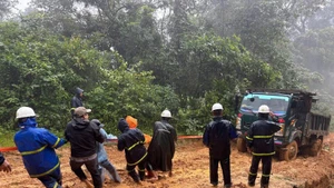 꽝찌전력회사 직원들이 오는 15일 이전에 모든 오지 마을에 전력 공급을 복구하기 위해 매진하고 있다. (사진: VNA)