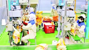 안장성성에 위치한 타오선 1인 유한책임식품회사 공장에서 수출용 쌀을 포장하고 있다. (사진: VNA)