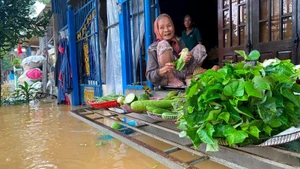 주도적인 대책이 마련된 덕분에 주민들은 침수 상황에서도 침착함을 유지하며 이에 적응해 살아가고 있다.