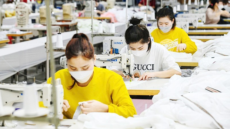 2025년 첫 9개월 동안 전국적으로 약 23만 개의 기업이 새로 설립되거나 영업을 재개했다. (사진: THANH DAT)