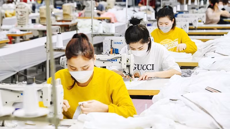 2025년 첫 9개월 동안 전국적으로 약 23만 개의 기업이 새로 설립되거나 영업을 재개했다. (사진: THANH DAT)