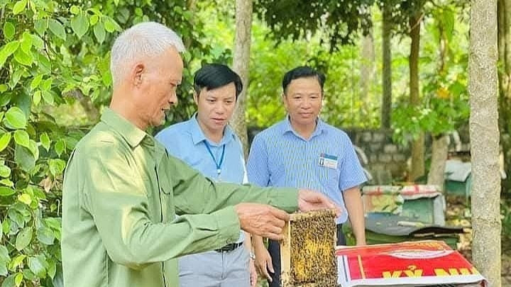 가계 경제 발전에 기여가 기대되는 노년층. 