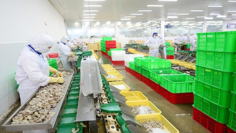 EVFTA 덕분에 유럽연합(EU)으로의 수산물 수출이 크게 증가하고 있다.