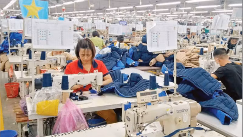 TNG 투자무역주식회사에서의 생산 현장.