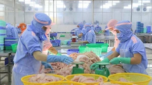 수출용 바사(팡가시우스) 생선을 가공하는 종업원들. (사진: VNA)