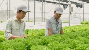 2025년, 과일 및 채소 수출이 약 20% 증가하면서 처음으로 85억 달러를 돌파했다. 심층 가공 전략과 시장 개방에 힘입은 결과다.