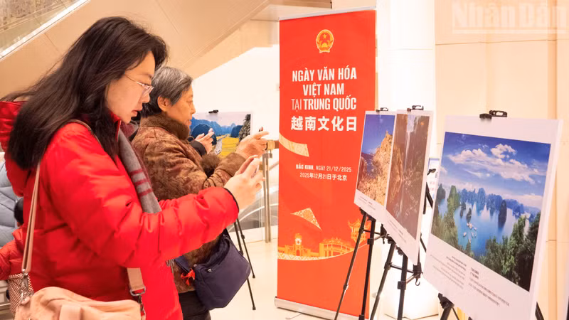 베트남의 유명 명소를 사진에 담고 있는 관람객들.