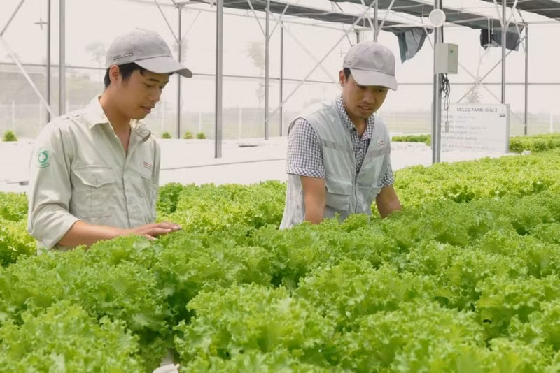 2025년, 과일 및 채소 수출이 약 20% 증가하면서 처음으로 85억 달러를 돌파했다. 심층 가공 전략과 시장 개방에 힘입은 결과다.