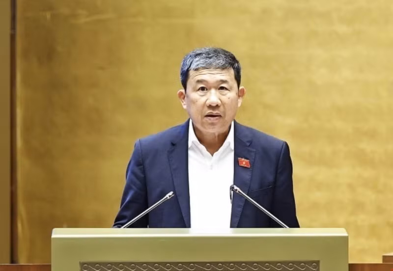 부 하이 하 중앙당 위원 겸 국회 당 위원회 부서기. (사진: VNA)