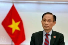 레 호아이 쭝 외교부 장관(사진: VNA)