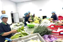 하노이의 청정 채소 생산 협동조합. (사진: NDO)