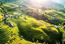 사파는 아름다운 계단식 논과 독특한 문화적 정체성을 지닌 소수 민족 마을들로 유명하다. (사진: Unsplash – Denis Sobnako)