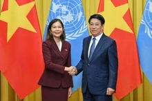 루엉 끄엉(오른쪽) 베트남 국가주석이 폴린 타메시스 유엔(UN) 베트남 상주조정관과 접견하고 있다. (사진: NDO/투이 응우옌)