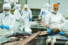 수산물은 미주 전역 시장에서 강한 수출 성장세를 보이고 있는 대표적인 분야 중 하나다. (사진: 남안)