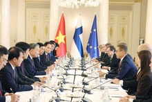 베트남 공산당 중앙위원회 또 럼 서기장과 알렉산데르 스투브 핀란드 대통령 간 회담 모습 (사진: VNA)