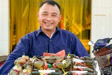 까마우 게는 이력 추적 스탬프가 부착되어 있어, 전국 다른 지역의 게와 혼합되지 않도록 보장된다.