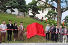 대표단은 센나웰니스 리트리트에서 ‘베트남 유산 나무’ 상징물을 공동으로 공개했다.