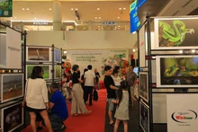 전시회를 찾은 방문객들