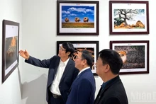 사진 전시회를 찾은 관람객들.