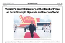 기사 스크린샷.