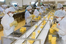 선라성 DOVECO 과일·채소 가공센터에서 수출용 파인애플을 가공하고 있다. (사진: 민 안)