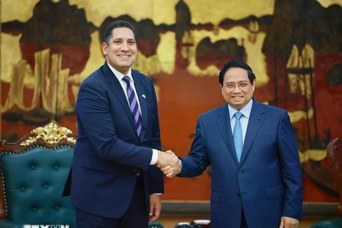 팜 민 찐 총리가 30일 하노이에서 요한 은디시(Johan Ndisi) 주베트남 스웨덴 대사를 접견하고 있다. (사진: VNA)