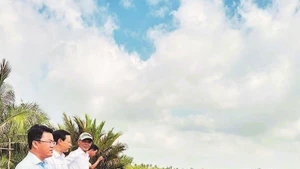 까마우성 닌탄로이 면 지역의 많은 가구들이 도입한 ST25 쌀-새우 복합 양식 모델이 높은 효율성을 보이고 있다.